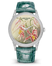 Patek Philippe Seltene Handwerkskünste Ref. 5077/100G-032 Weißgold - Zifferblatt