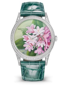 Patek Philippe Seltene Handwerkskünste Ref. 5077/100G-035 Weißgold - Zifferblatt