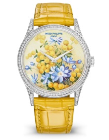 Patek Philippe Seltene Handwerkskünste Ref. 5077/100G-037 Weißgold - Zifferblatt