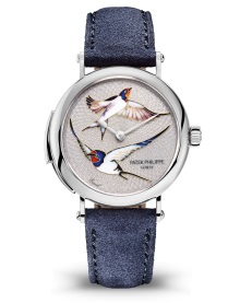 Patek Philippe Seltene Handwerkskünste Ref. 7000/50G-010 Weißgold - Zifferblatt