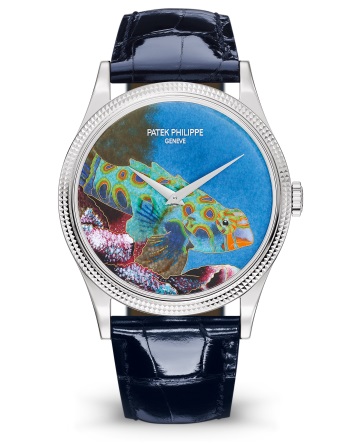 Patek Philippe Редкие ремесла Мод. 5177G-013 Белое золото - ВИД СПЕРЕДИ