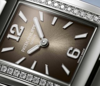 Patek Philippe Twenty~4 Мод. 4910/1200A-010 Нержавеющая сталь - Aртистический