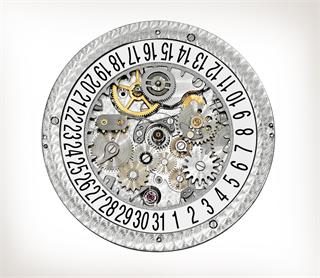 Patek Philippe Annual Calendar Complication 5205R-010 Tiffany and Co Dial